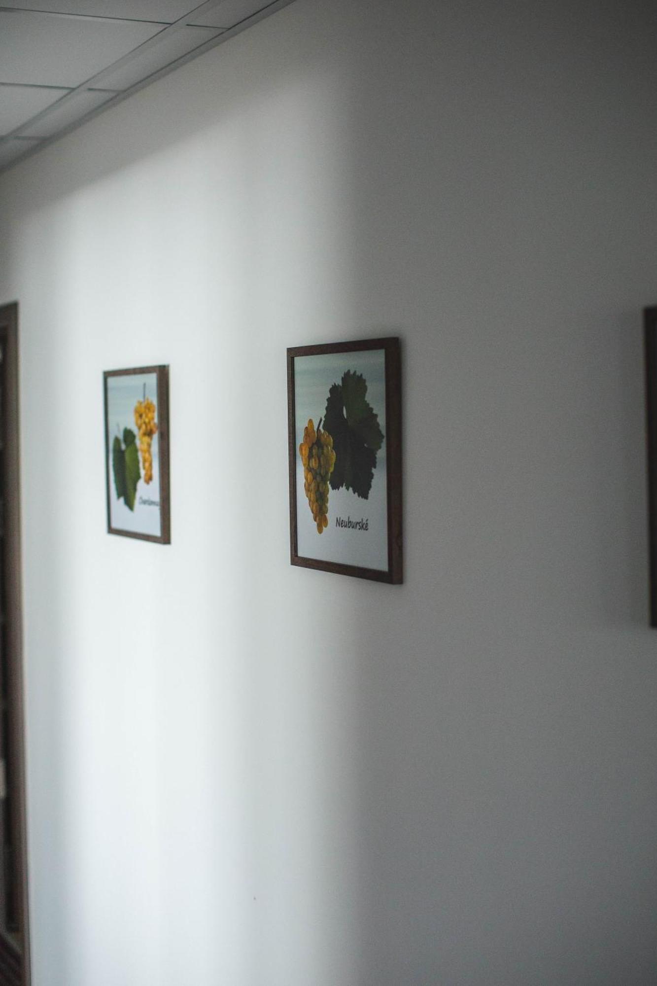 Apartmány Pemag Mikulov Exteriér fotografie